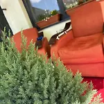 Bobo S House