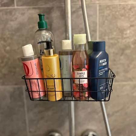 Bobo S House * Cluj-Napoca