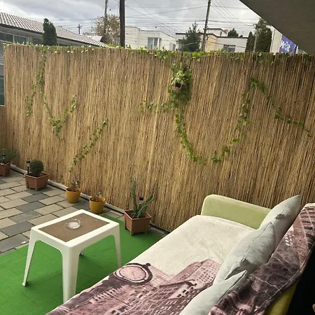 Bobo S House