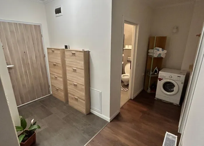 Appartamento Bobo S House Cluj-Napoca