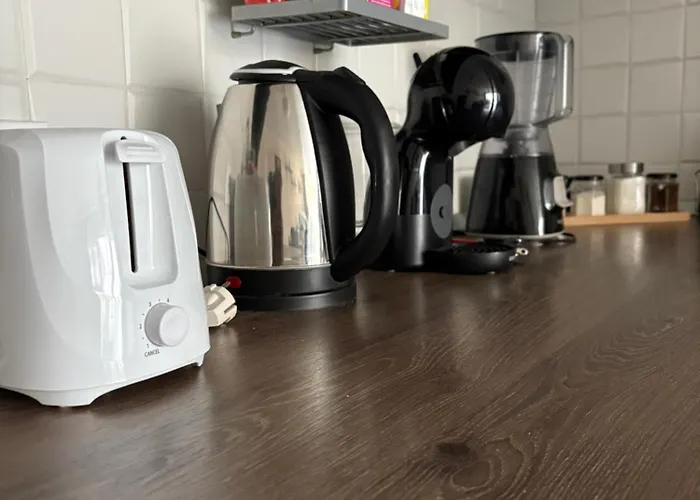 Apartament Bobo S House Cluj-Napoca