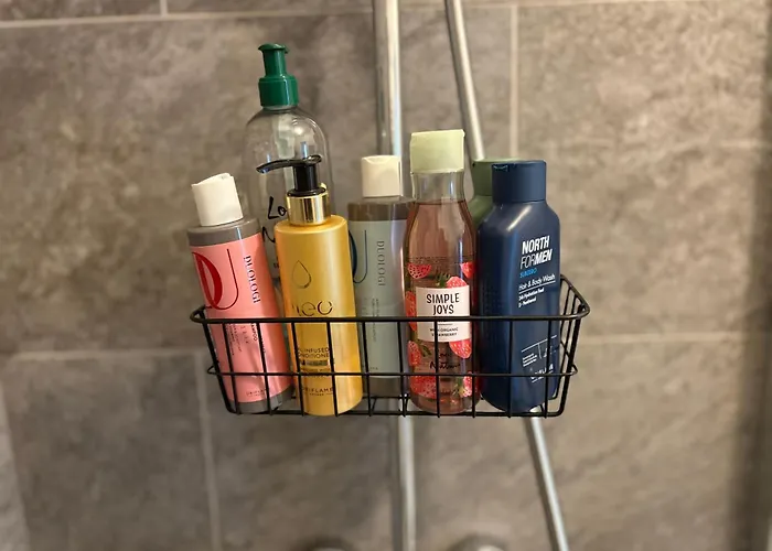 Bobo S House * Cluj-Napoca