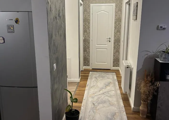 Apartamento Bobo S House Cluj-Napoca