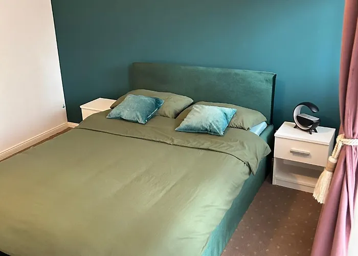 Bobo S House * クルージュ＝ナポカ